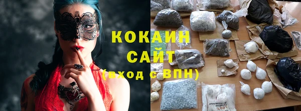 сатива Нея