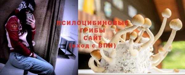 сатива Нея