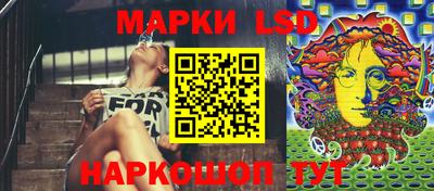 a pvp Гатчина
