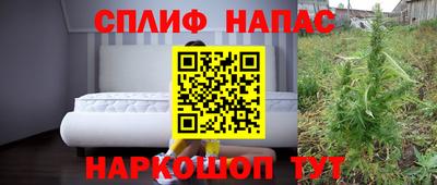 гидра Гагарин