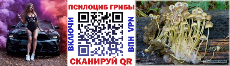 Псилоцибиновые грибы GOLDEN TEACHER  сколько стоит  Чистополь 