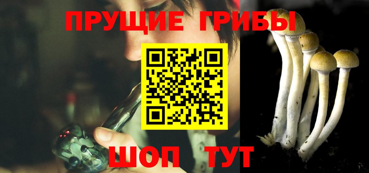 Галлюциногенные грибы Psilocybe Чистополь