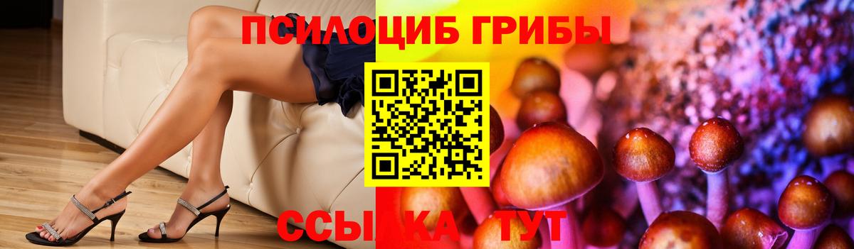 Галлюциногенные грибы Cubensis  Вход с VPN  Галлюциногенные грибы ЛСД  купить наркотик  Чистополь 